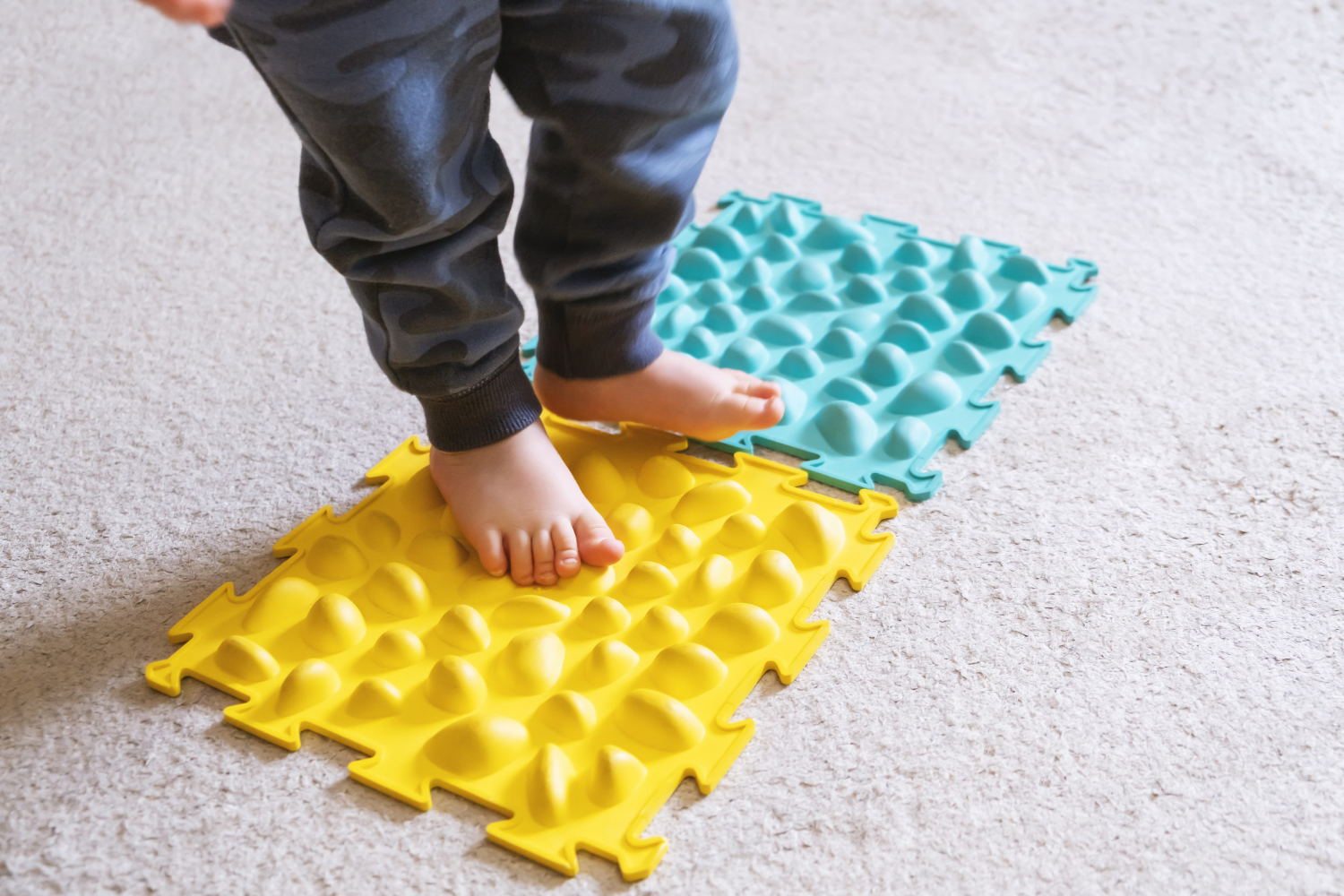 Sensory Motor Therapy